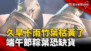 久旱不雨竹葉枯黃了！端午節粽葉恐缺貨｜#寰宇新聞 @globalnewstw