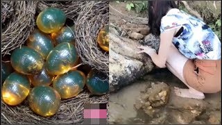 Lúi húi mò ốc bên bờ suối, thiếu nữ ngay lập tức gọi cảnh sát khi phát hiện ra thứ kỳ lạ này