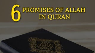 Some promises of Allah to His believers in Quran