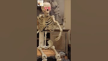 Beginners-  Slapping Skeleton Animatronics #halloween #howto #diy
