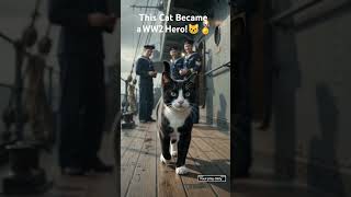 The Cat Who Became a WW2 Hero 🐱🏅