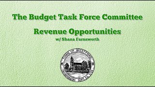Budget Task Force - Revenue Opportunities