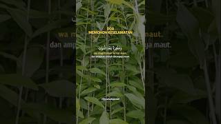Doa mohon keselamatan #doa #doaharian #keselamatan #islam #husnulkhatimah #berkah