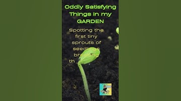 🌱  ONE Sprout #joyofagarden , #shorts