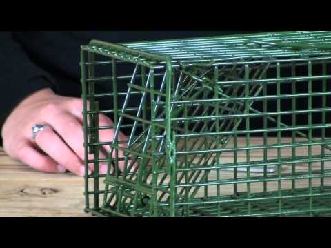 Small Animal Cage Trap - Chipmunk Trap