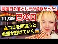 11月29日金運巳の日。今年中に見直して欲しい注意点と巳の日の金運開運アクション！大事なので何度もいいます！