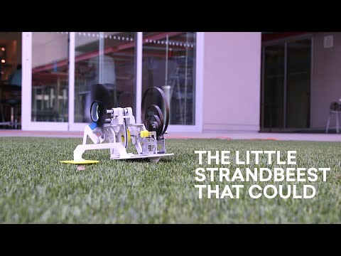 Video post from The Nueva School.