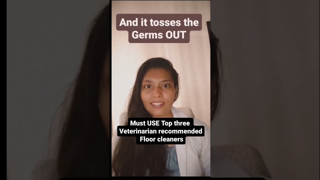 top 3 floor cleaners for a pet safe home. comment down for links. #vet #dog #doglover #amazon