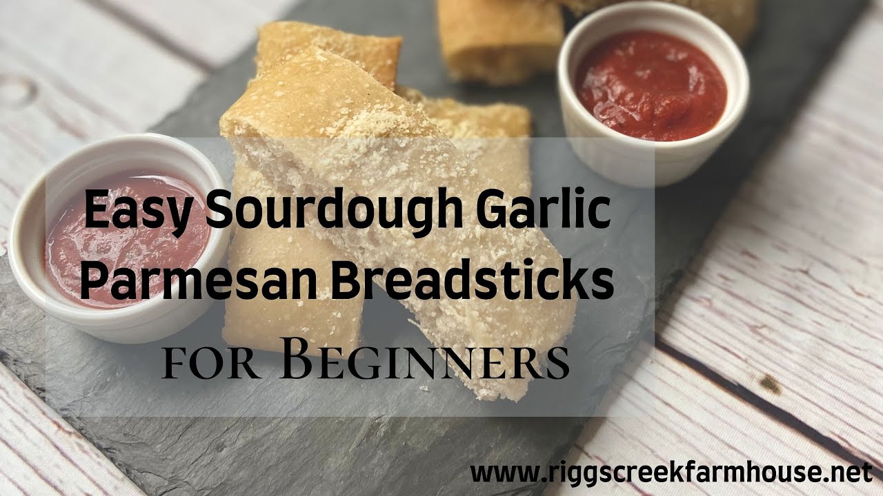 Easy Sourdough Garlic Parmesan Breadsticks Beginner Sourdough Recipe