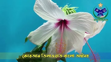 024) সূরা আন-নূর - Surah An-Nur | سورة النور বাংলা অনুবাদ সহ তিলাওয়াত | Qari Shakir Qasmi