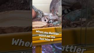 My Rattlesnake Lets Me Know What He Really Thinks Of Me 🐍 #snake #short #lol