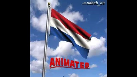 3D Model of Animated Netherlands Flag Review