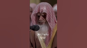 ما تسير من #سورة_يس #علي_الحذيفي • اكتب شيء تؤجر عليه.• أجر لي ولك.#تلاوات #القرآن #Quran