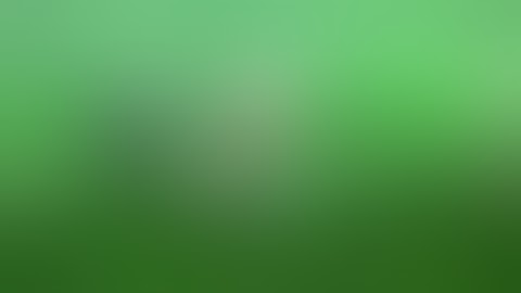 All-Pro Football 2K8: Amazing One-Hand Interception!