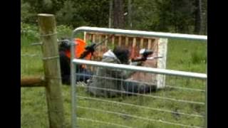 2005/2006 - Brian's Middle School Paintball (1)