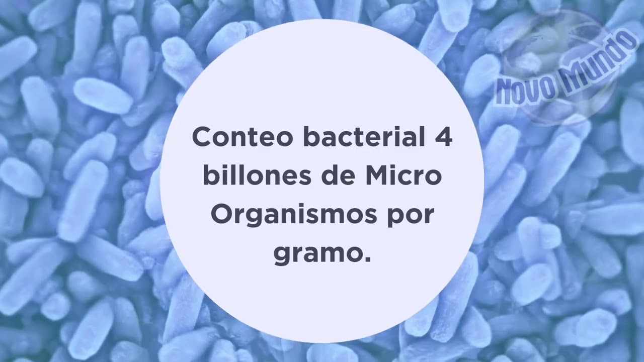 Novomax BCP-60 INTRODUCCIÓN