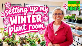 Grow lights, costs involved, and bugs | Cold Climate Indoor Gardening