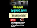 ଓଡିଆ ସାଧାରଣ ଜ୍ଞାନ #odia #gk #generalknowledge #odishanews0.6