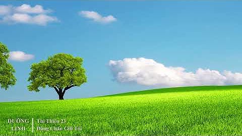 DƯỠNG LINH - Thi Thiên 23 - Đấng Chăn Giữ Tôi