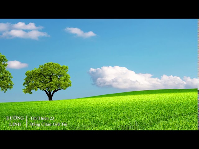 DƯỠNG LINH - Thi Thiên 23 - Đấng Chăn Giữ Tôi