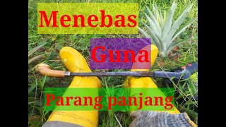 Parang Panjang Baru Beli. Tajam.