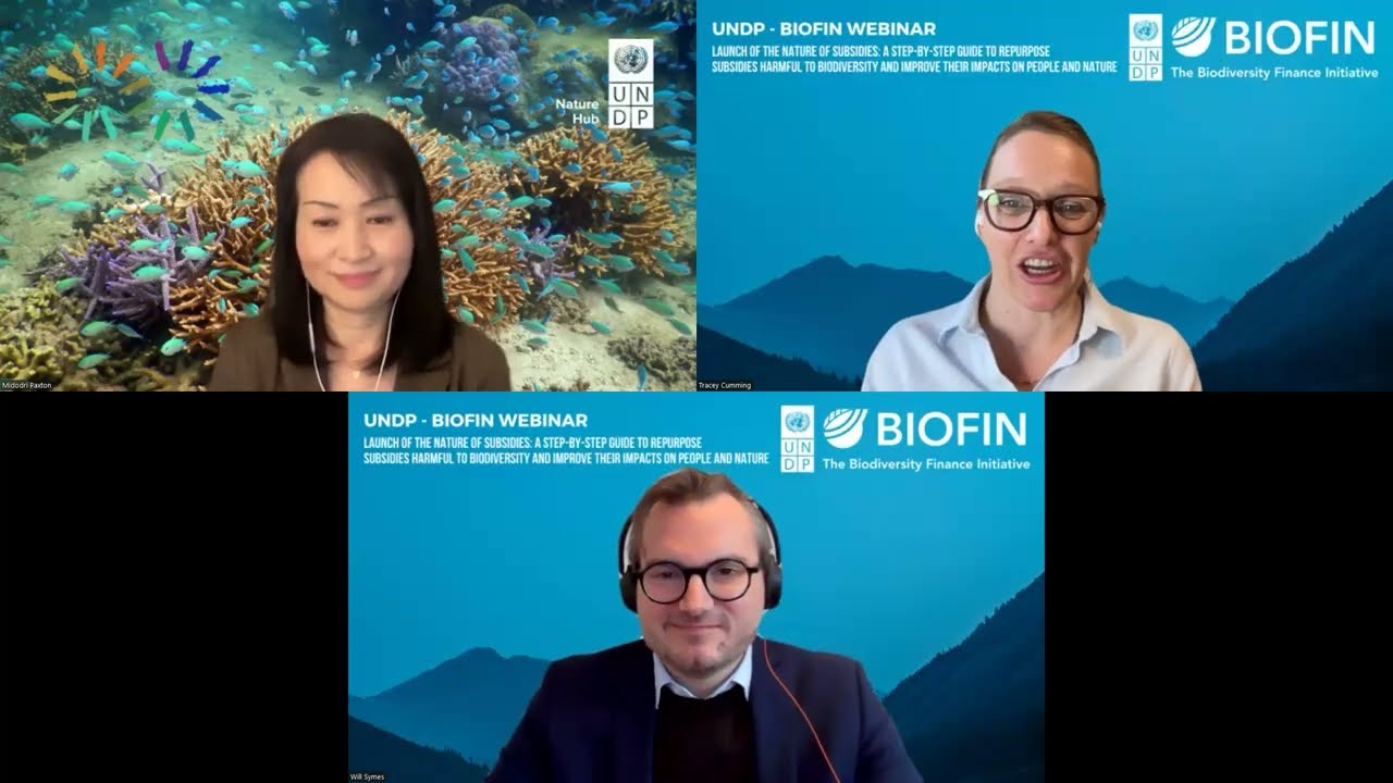 UNDP BIOFIN Webinar - Launch of the Nature of Subsidies - SPANISH (2024)