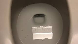 Cineplex Cinemas (Moncton) men’s room reshoot