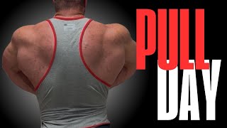 видео: Лучшая тренировка на тягу 2025 года (широчайшие мышцы спины, верхняя часть спины и бицепсы) картинка: Лучшая тренировка на тягу 2025 года (широчайшие мышцы спины, верхняя часть спины и бицепсы)