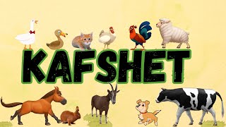 Kafshët shtëpiake 🧲