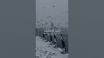 ♡  تلاوة خاشعة جميلة ارح قلبك ♡  #راحة_نفسية#