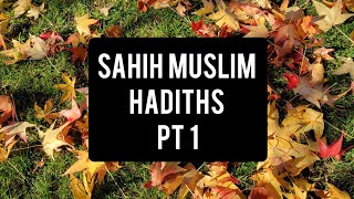 Sahih Muslim: Hadiths: Pt 1