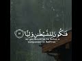يا أبت إني أخاف أن يمسك عذاب من الرحمن فتكون للشيطان وليا سورة مريم القارئ شريف مصطفى 