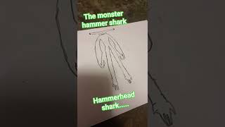 ฉลามค้อนกึ่ง มนุษย