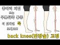 백니(반장슬)교정 및 통증개선 운동루틴