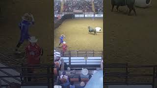 Fiesta Del Toro #pbr #ubf #stockyards