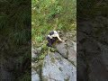 ウルトラCで滑落を回避した男