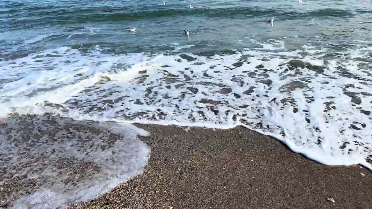 Calming Ocean Waves 🌊 Real Beach Sounds | No Music , Just Nature