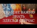 ТАРО | ЧТО МНЕ НУЖНО ЗНАТЬ ПРЯМО СЕЙЧАС?