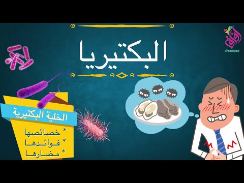 البكتيريا الخلية البكتيرية خصائصها و فوائدها و مضارها