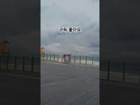 홀로된사랑 선율하나 7080통기타 속초버스킹 삼척해변