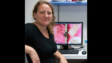 2413 Dr. Anna Dornhaus