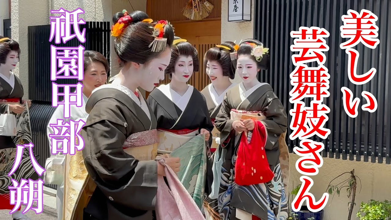 八朔】美しい芸舞妓さんたちの挨拶まわり Geiko and maiko in Gion