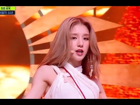 [이달의 소녀] PTT 여기서는 그 누구도 날막을 순 없어 희진