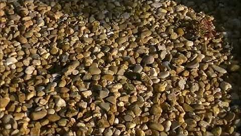 Botanic ridge Snake Proof Fence