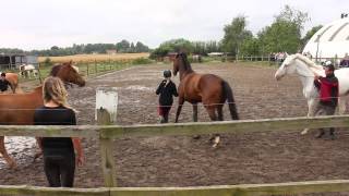 Horsemanship - Mia Lykke Nielsen - Hold 1 - Part 1