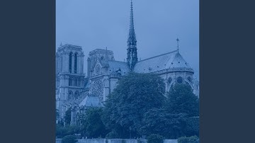 Scintillating Ambience for Stylish Cafes