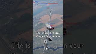 The Power Of Friendship #warthunder