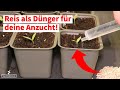 was ist vinasse dünger Vinasse-Dünger — Silberkraft main image 0