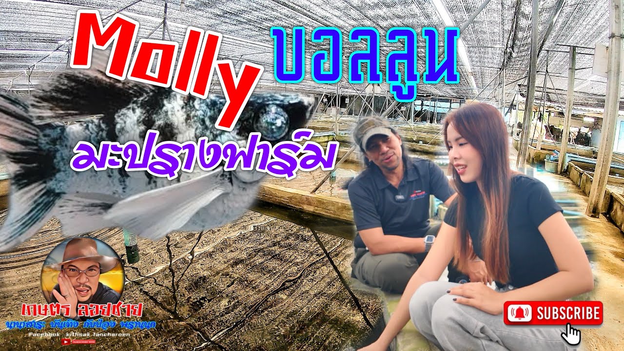 Molly บอลลูน มะปรางฟาร์ม @PongLoychai