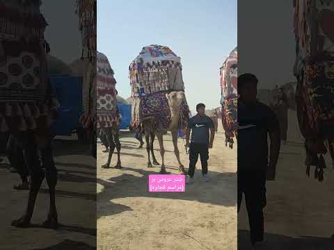 کجاوه آبشار Travel باران شمال رودخانه سفر جنگل Automobile دوچرخه طبیعت